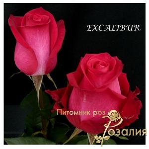 Excalibur (Екскалібур)