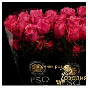 Роза Cherry Carpe Diem (Черри Карпе Дием)