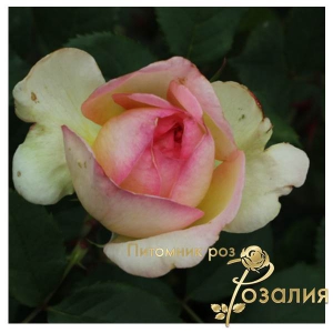 George Sand (Жорж Санд)