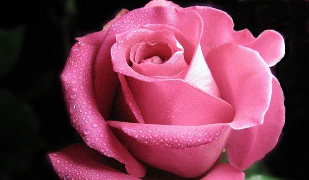 image003