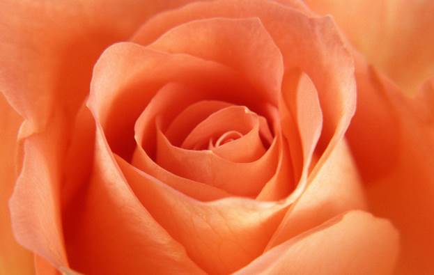 image005